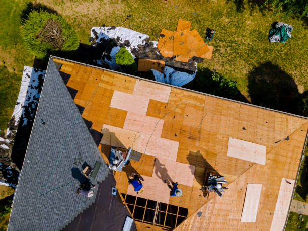 Best Roof Gutter Cleaning  in Mulvane, KS